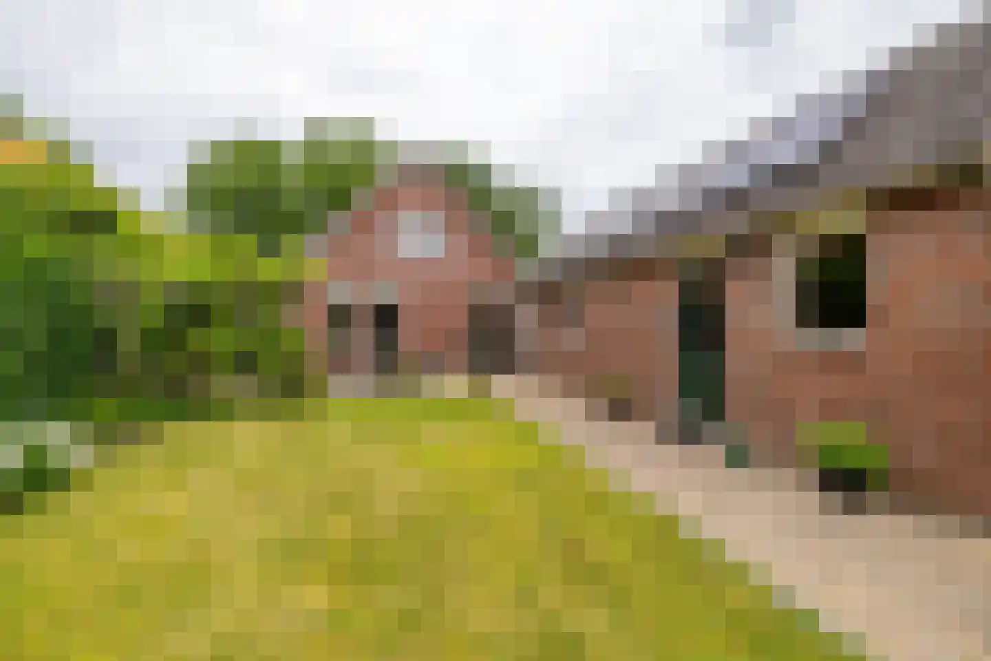 Verlengde Asserstraat 71 Gieten thumbnail 38