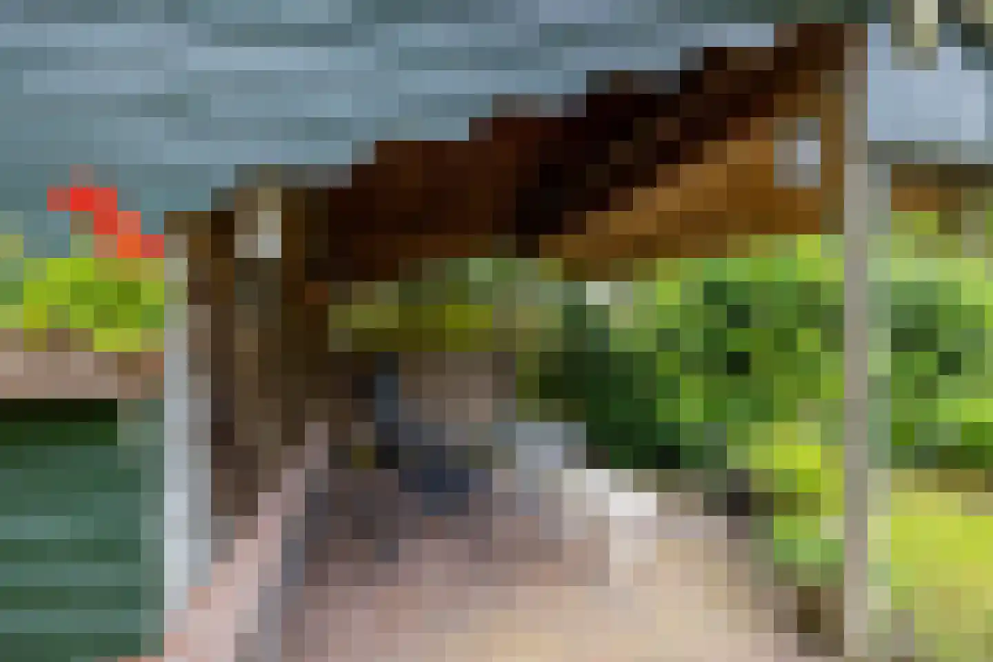 Verlengde Asserstraat 71 Gieten thumbnail 39