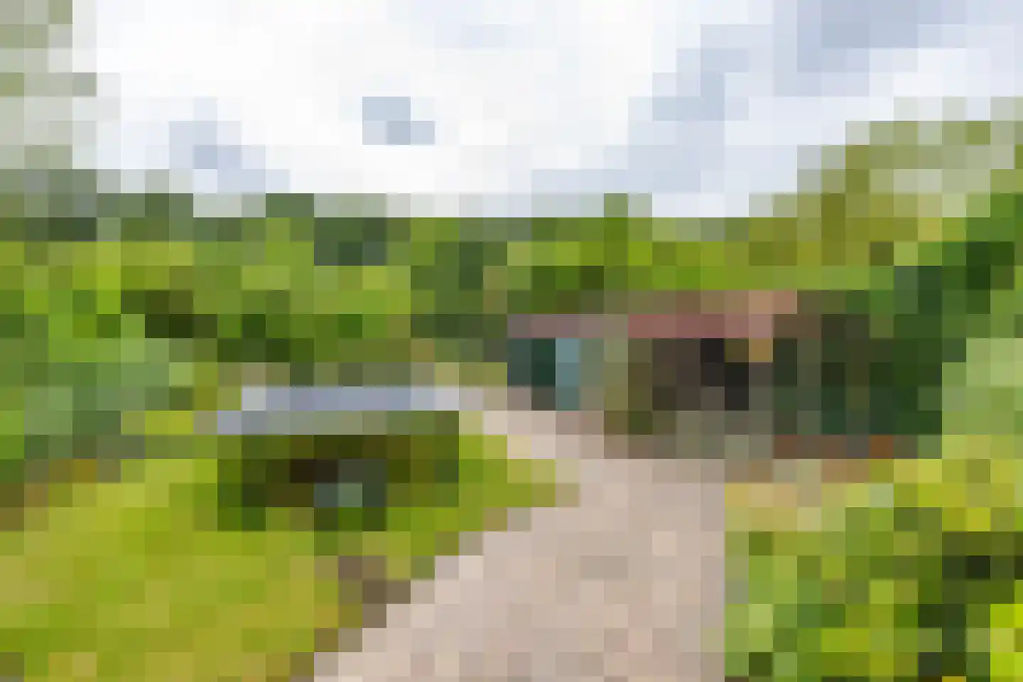 Verlengde Asserstraat 71 Gieten thumbnail 40