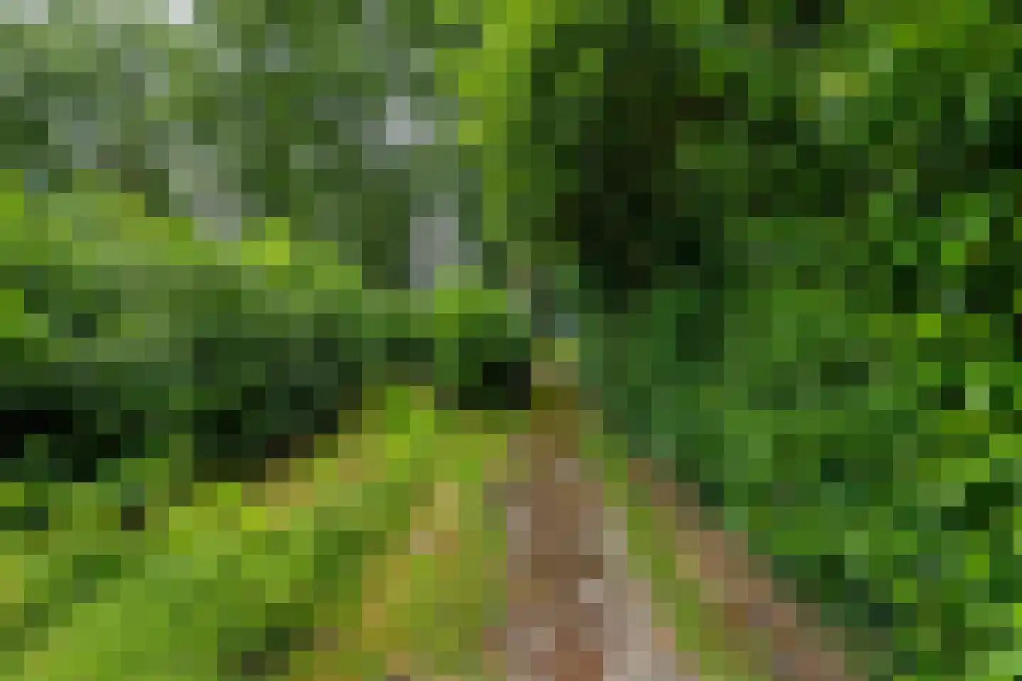 Verlengde Asserstraat 71 Gieten thumbnail 42