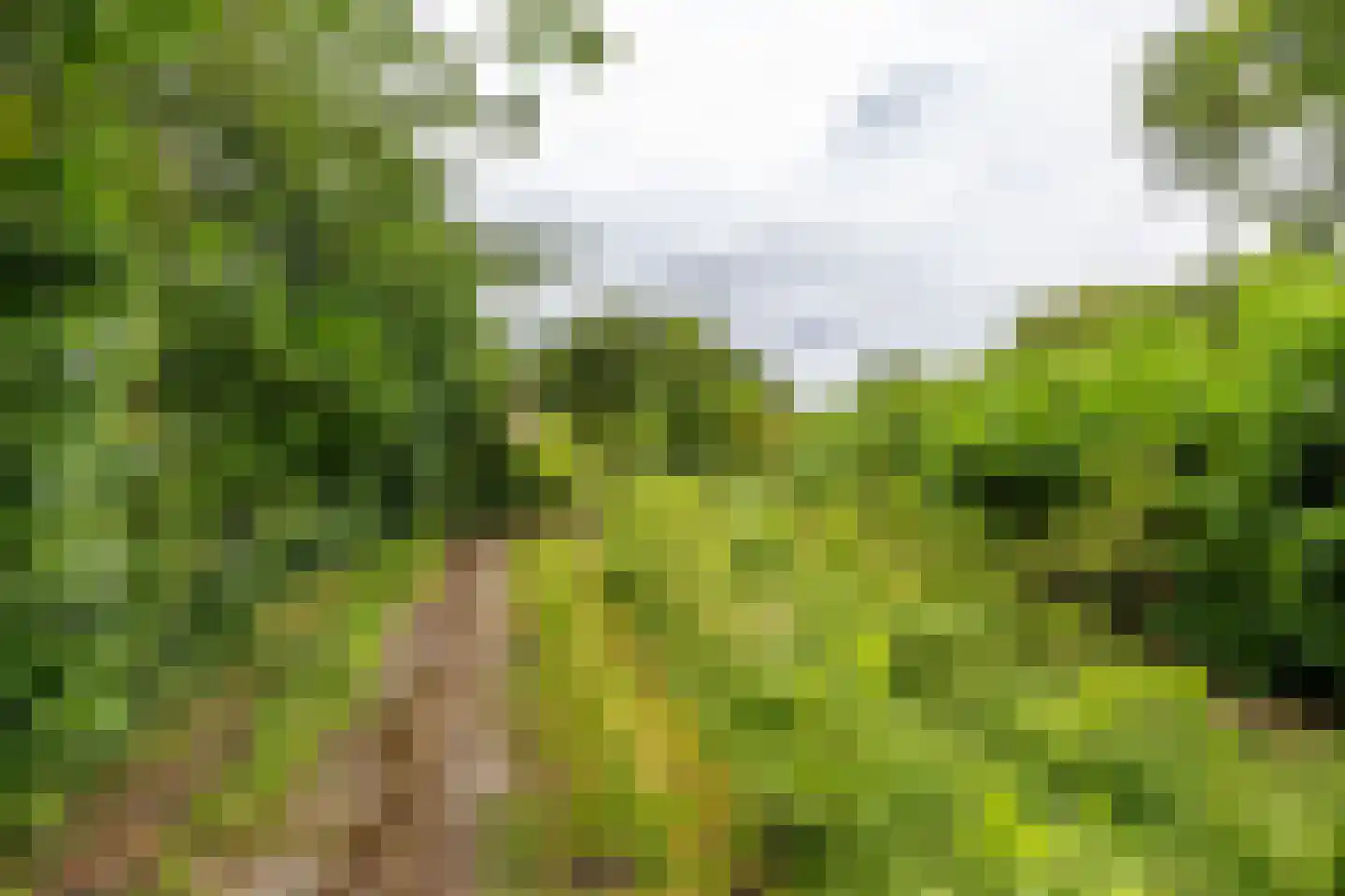 Verlengde Asserstraat 71 Gieten thumbnail 43