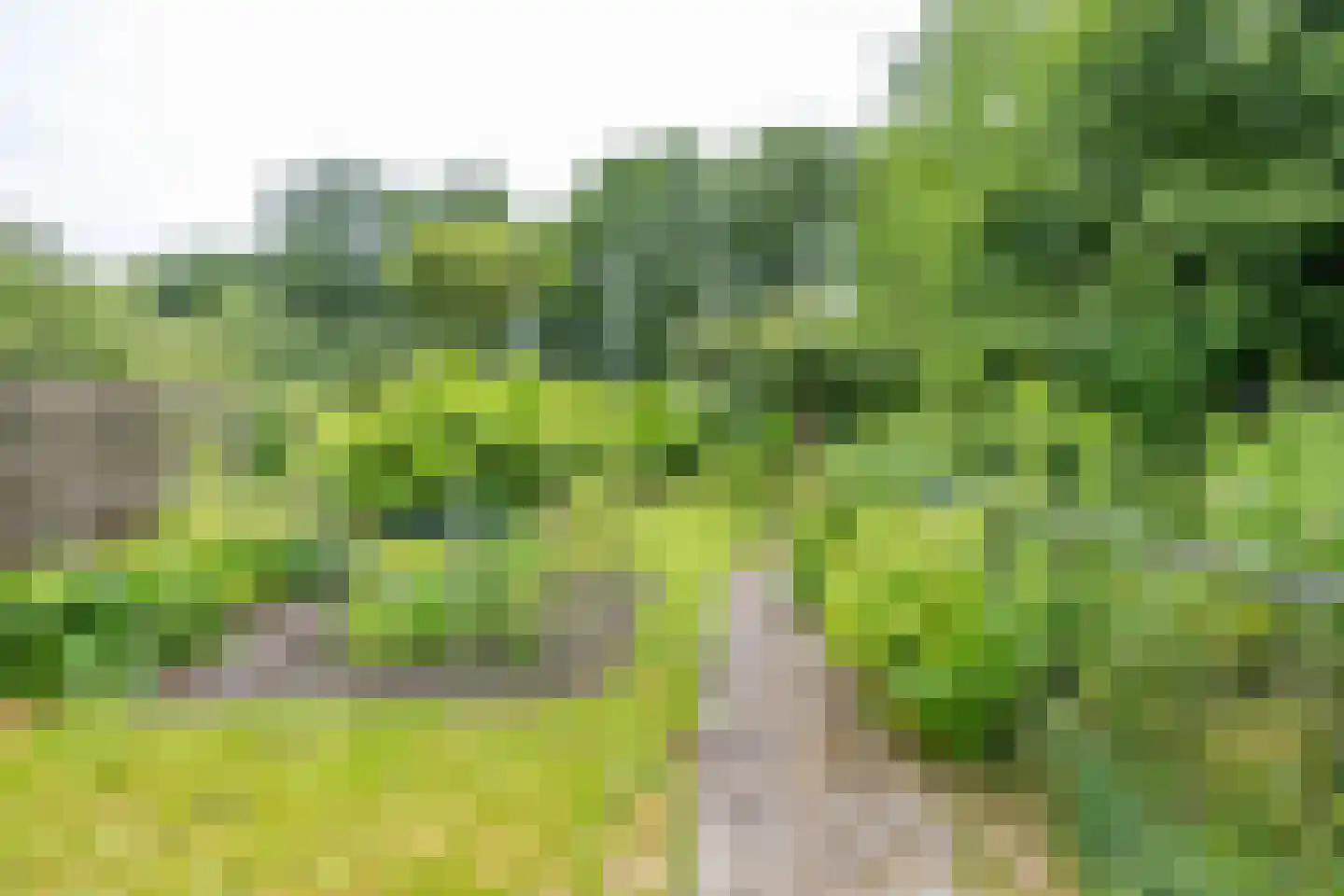 Verlengde Asserstraat 71 Gieten thumbnail 44