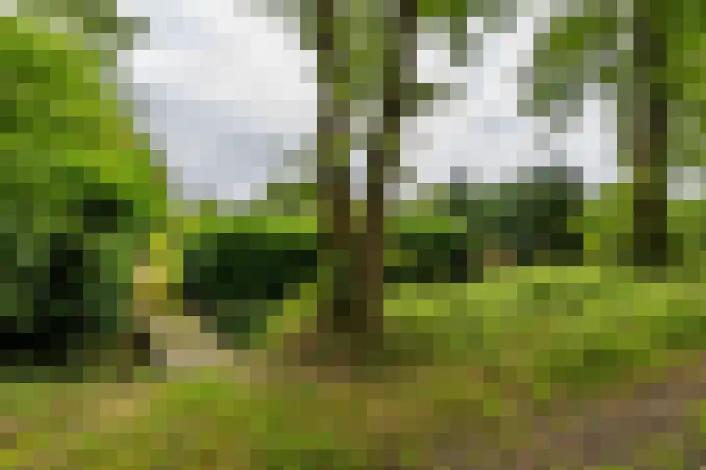 Verlengde Asserstraat 71 Gieten thumbnail 45