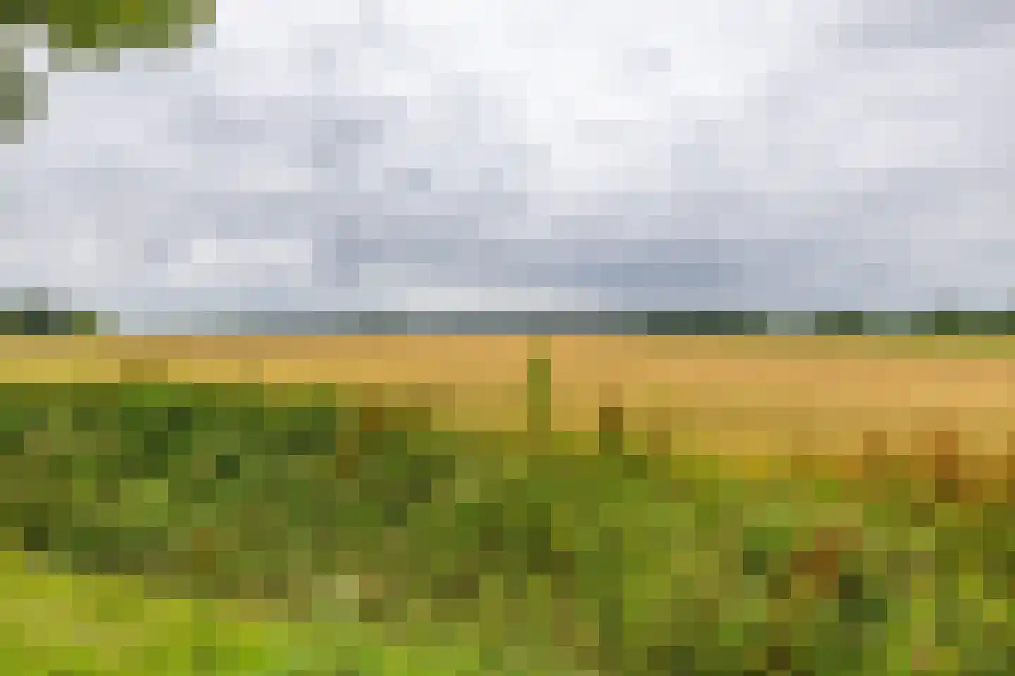 Verlengde Asserstraat 71 Gieten thumbnail 46