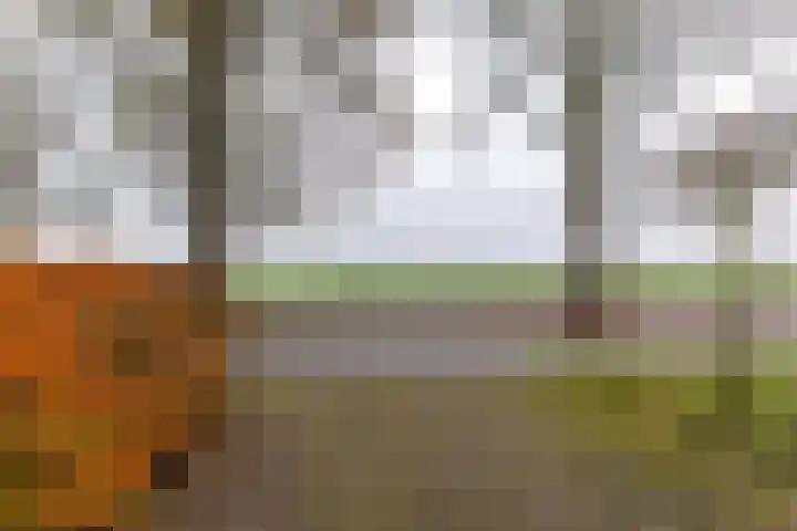 Verlengde Asserstraat 75 Gieten thumbnail 13
