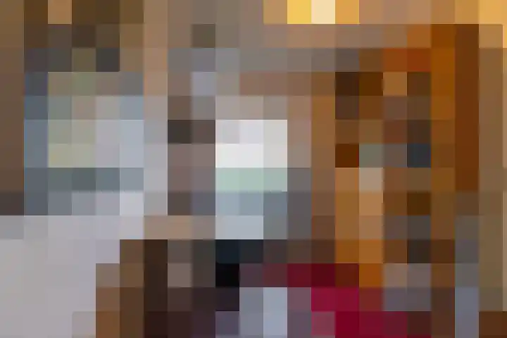 Verlengde Asserstraat 75 Gieten thumbnail 29