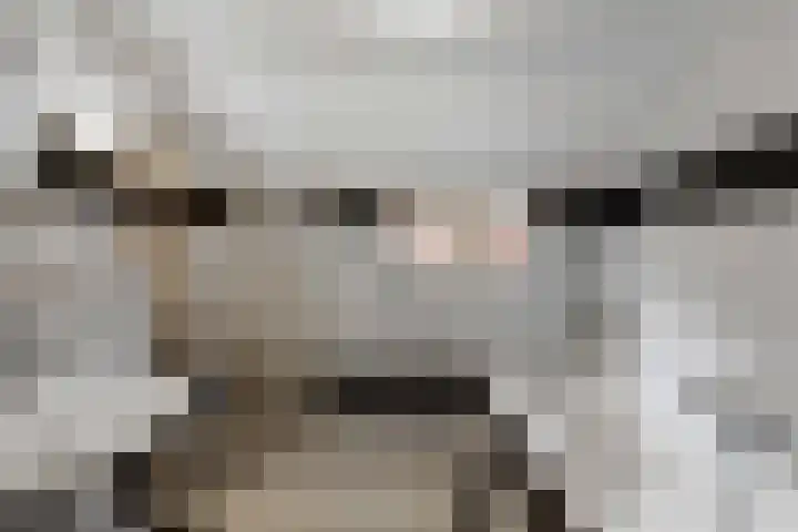 Verlengde Asserstraat 75 Gieten thumbnail 31