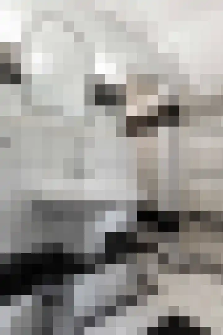 Verlengde Asserstraat 75 Gieten thumbnail 32