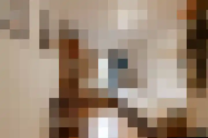Verlengde Asserstraat 75 Gieten thumbnail 38