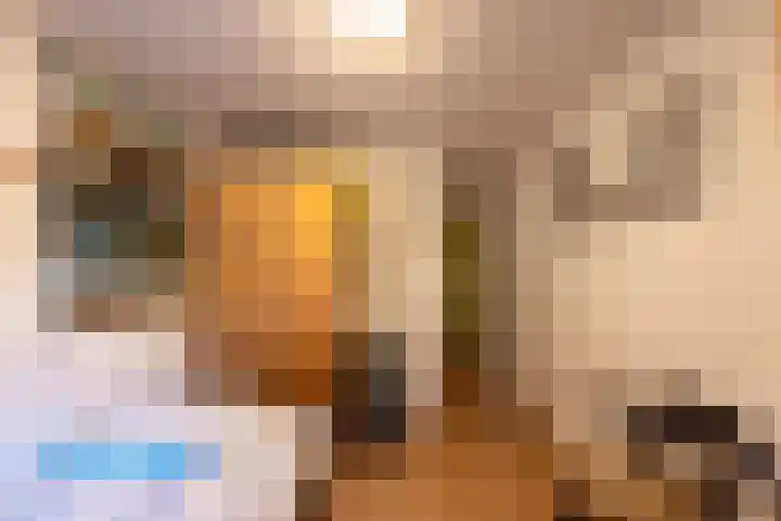 Verlengde Asserstraat 75 Gieten thumbnail 39