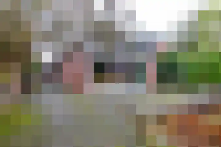 Verlengde Asserstraat 75 Gieten thumbnail 45
