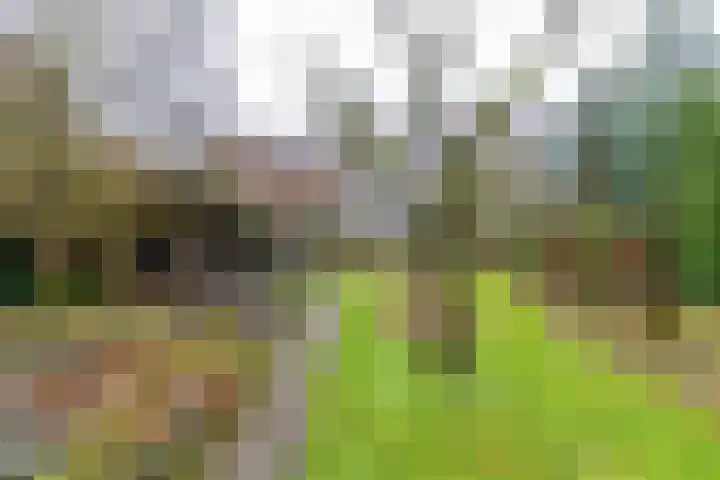 Verlengde Asserstraat 75 Gieten thumbnail 47
