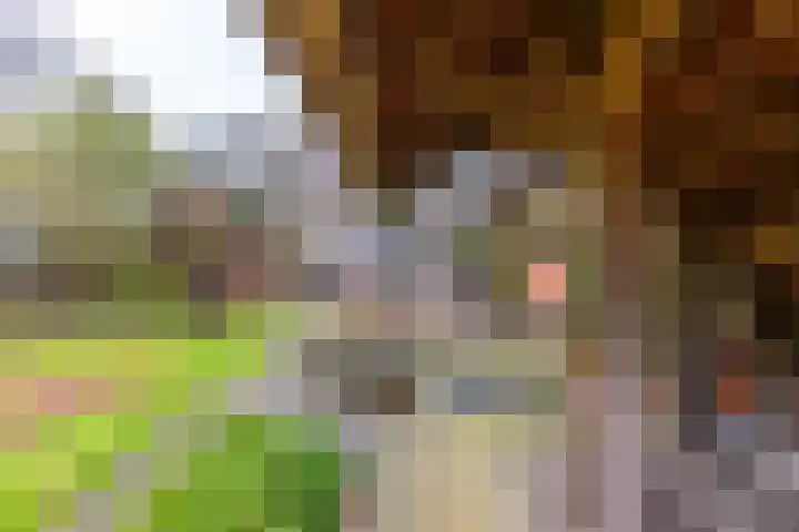 Verlengde Asserstraat 75 Gieten thumbnail 48