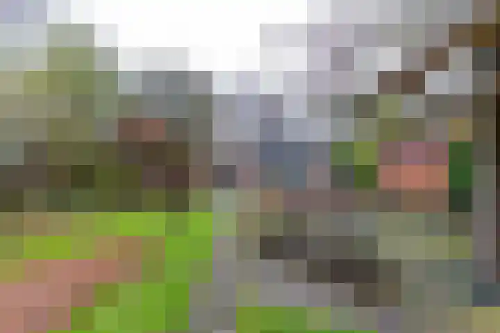 Verlengde Asserstraat 75 Gieten thumbnail 49