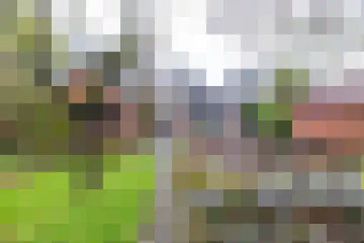 Verlengde Asserstraat 75 Gieten thumbnail 50