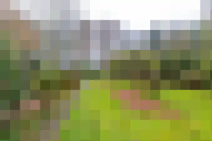 Verlengde Asserstraat 75 Gieten thumbnail 51