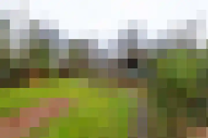 Verlengde Asserstraat 75 Gieten thumbnail 52