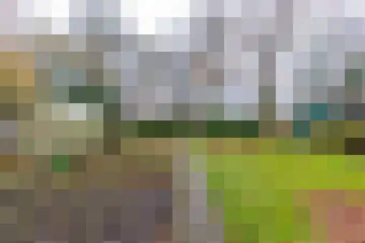 Verlengde Asserstraat 75 Gieten thumbnail 53