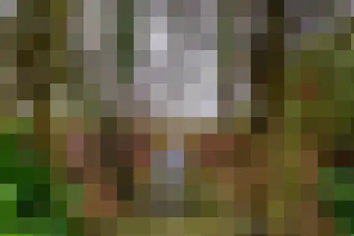 Verlengde Asserstraat 75 Gieten thumbnail 54