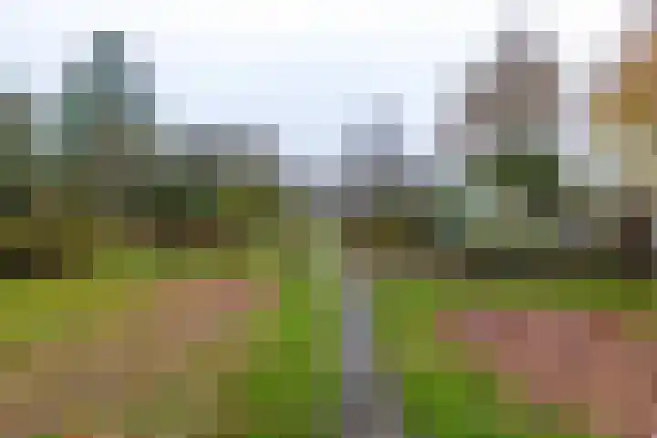 Verlengde Asserstraat 75 Gieten thumbnail 55