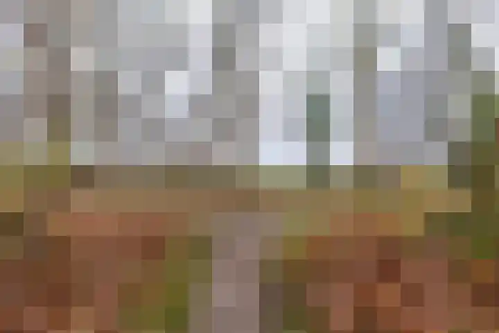 Verlengde Asserstraat 75 Gieten thumbnail 56