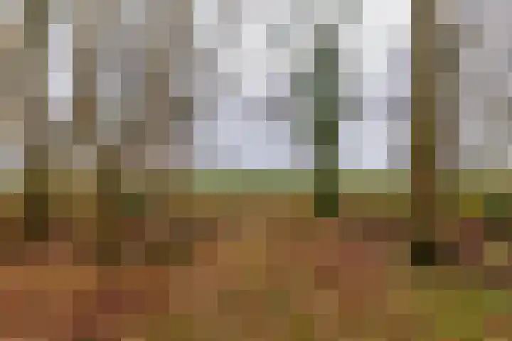 Verlengde Asserstraat 75 Gieten thumbnail 57
