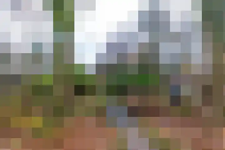 Verlengde Asserstraat 75 Gieten thumbnail 58
