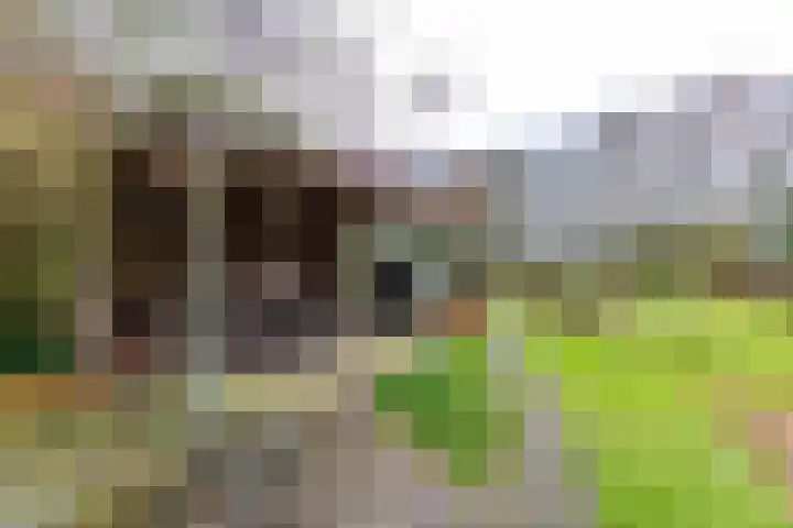 Verlengde Asserstraat 75 Gieten thumbnail 6