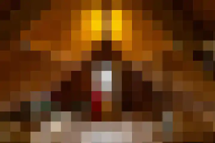 Verlengde Asserstraat 75 Gieten thumbnail 61
