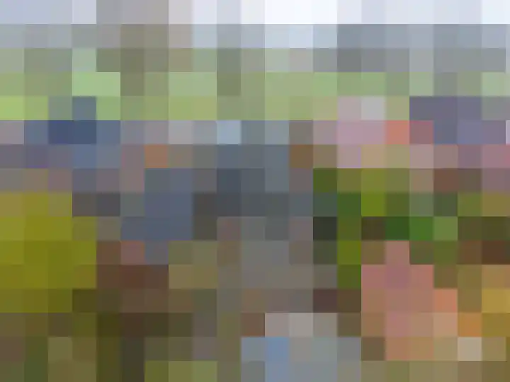 Verlengde Asserstraat 75 Gieten thumbnail 63
