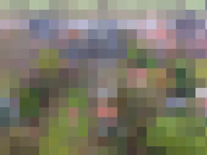Verlengde Asserstraat 75 Gieten thumbnail 65