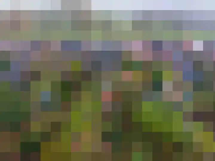 Verlengde Asserstraat 75 Gieten thumbnail 66