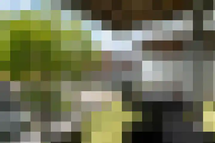 Verlengde Baan 22 Biddinghuizen thumbnail 20