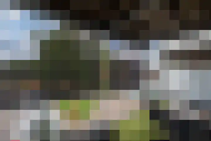 Verlengde Baan 22 Biddinghuizen thumbnail 21
