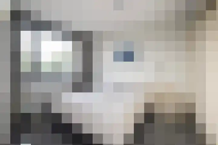 Verlengde Baan 22 Biddinghuizen thumbnail 23