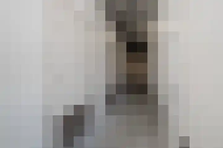 Verlengde Baan 22 Biddinghuizen thumbnail 27
