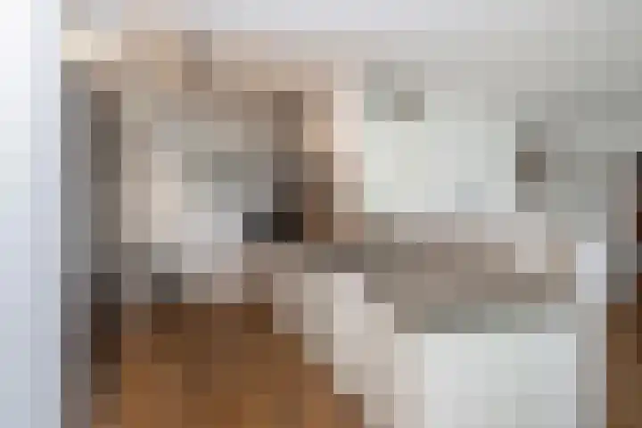 Verlengde Baan 22 Biddinghuizen thumbnail 4