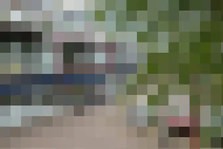 Verlengde Baan 22 Biddinghuizen thumbnail 7