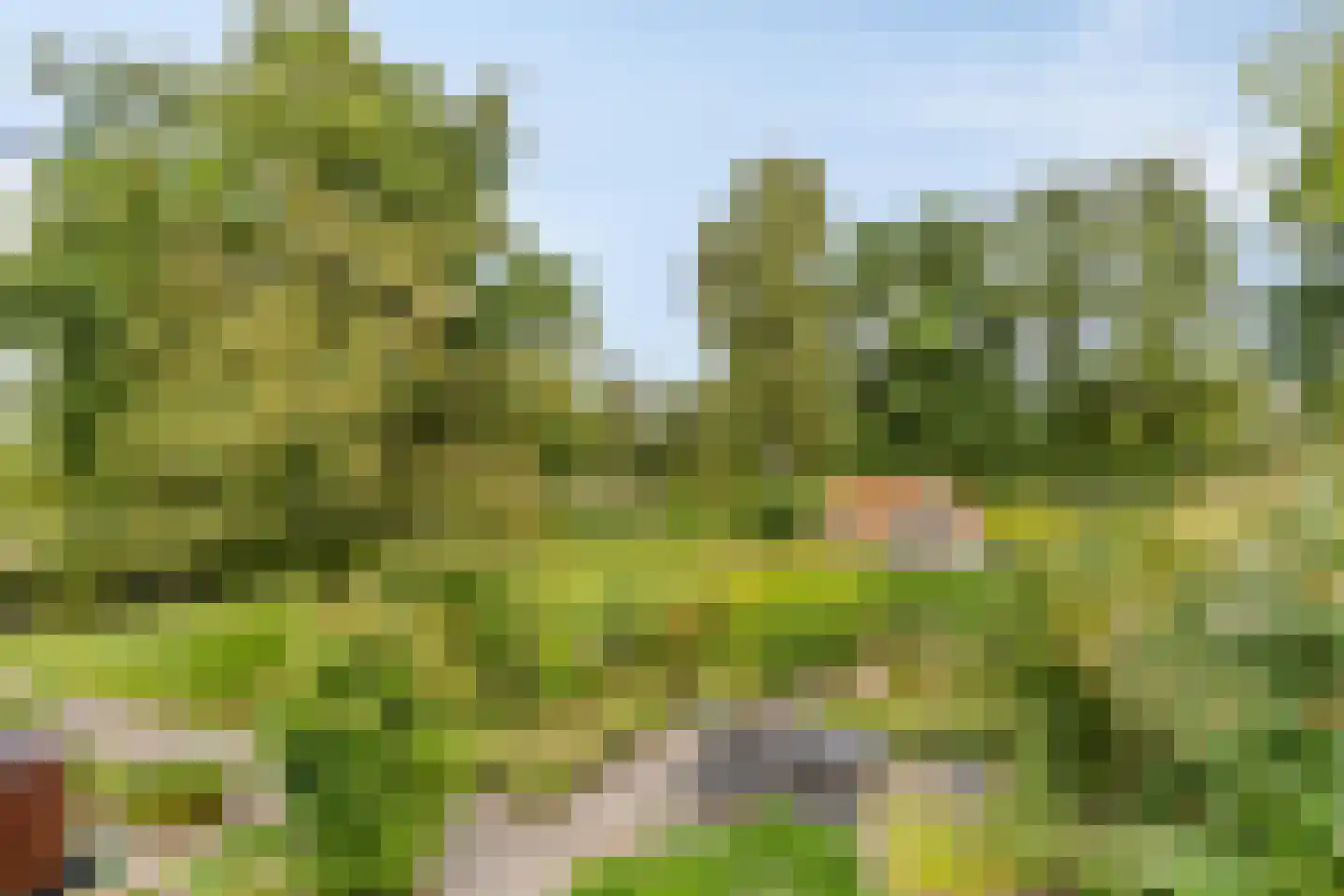 Verlengde Badweg 1 Meeden foto 2