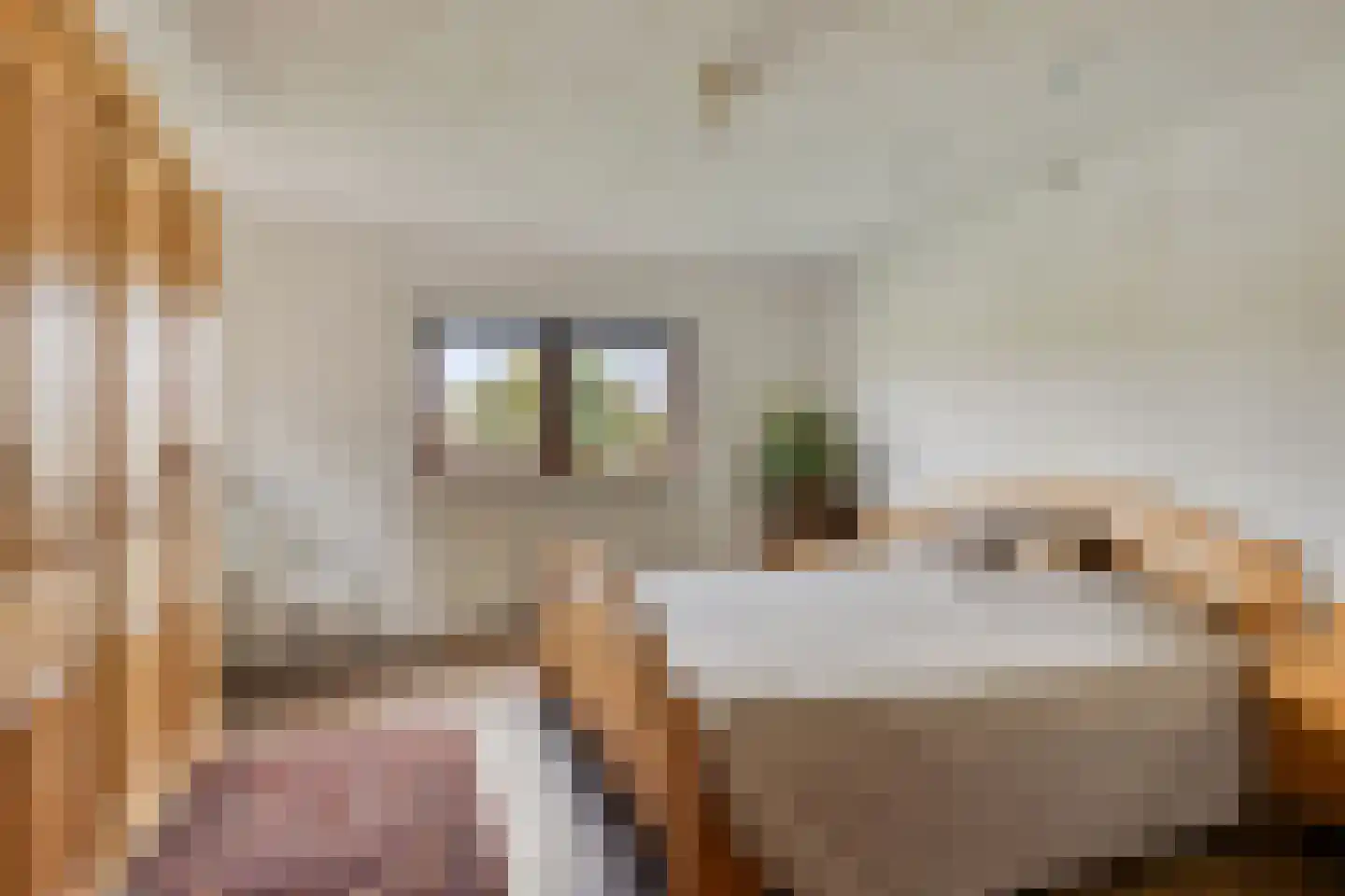 Verlengde Badweg 1 Meeden thumbnail 28