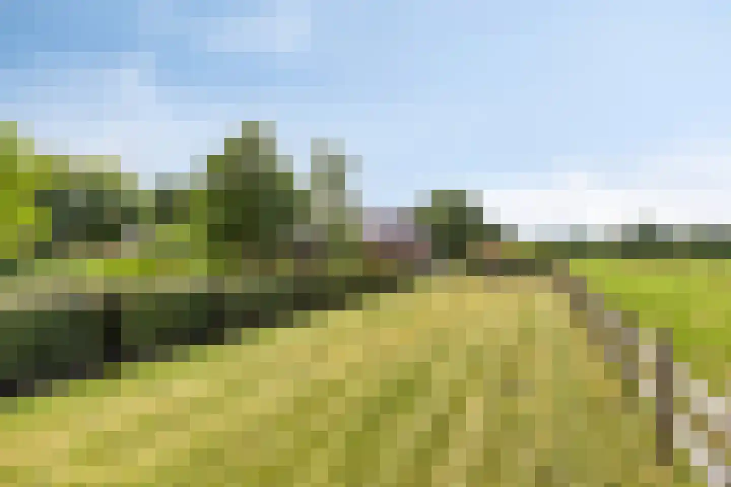 Verlengde Badweg 1 Meeden thumbnail 4