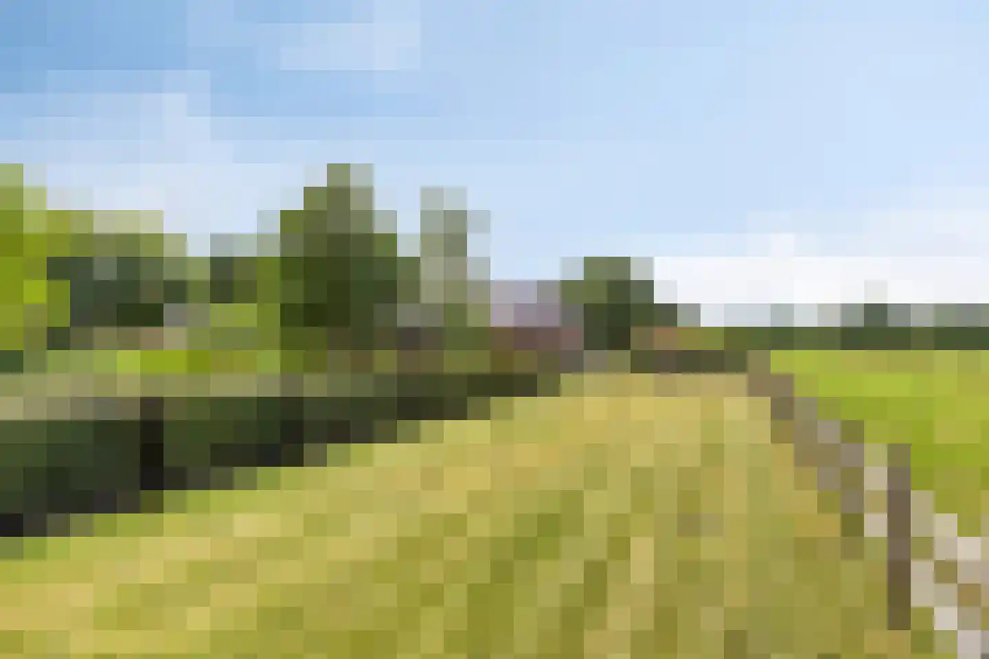 Verlengde Badweg 1 Meeden thumbnail 4