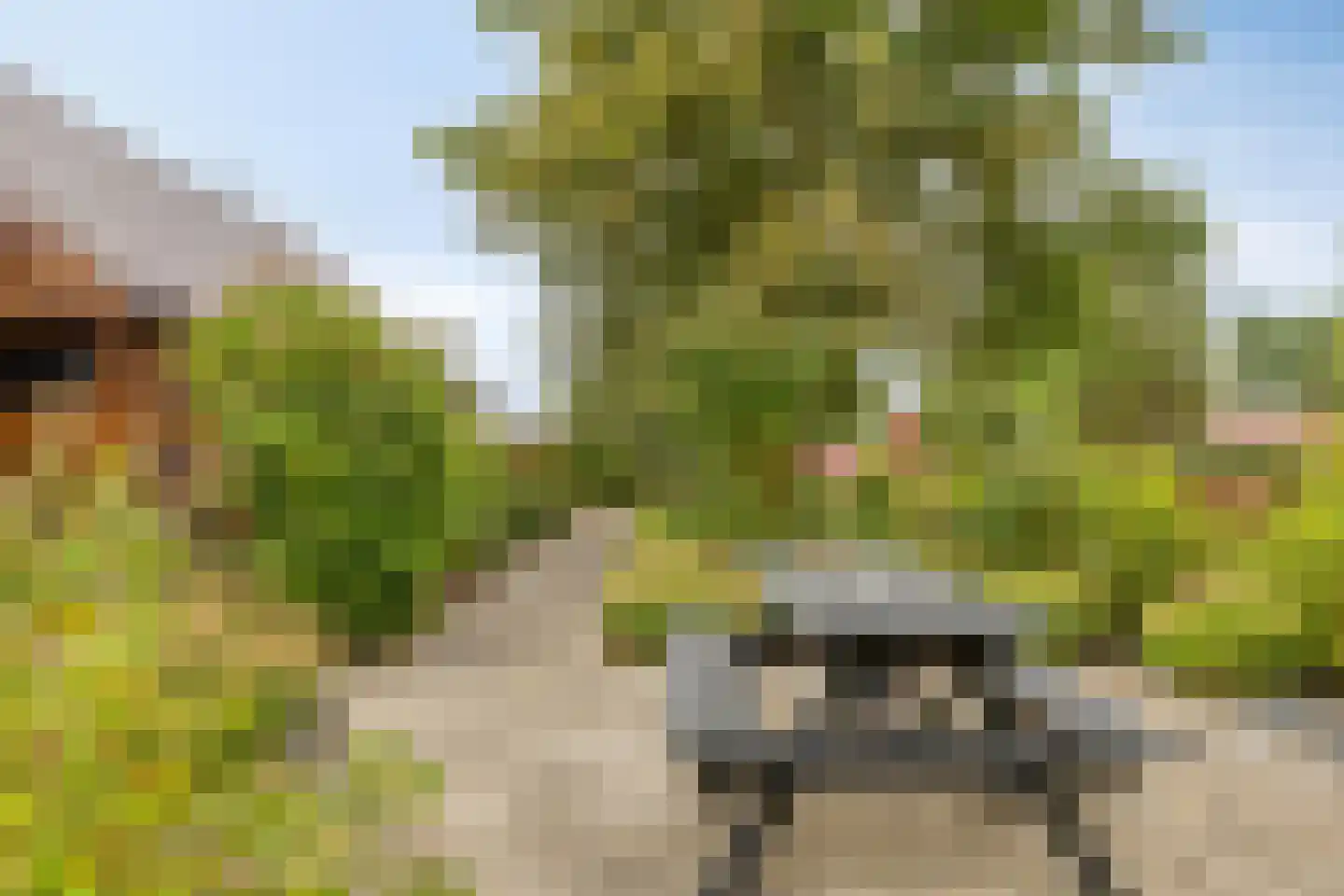 Verlengde Badweg 1 Meeden thumbnail 40