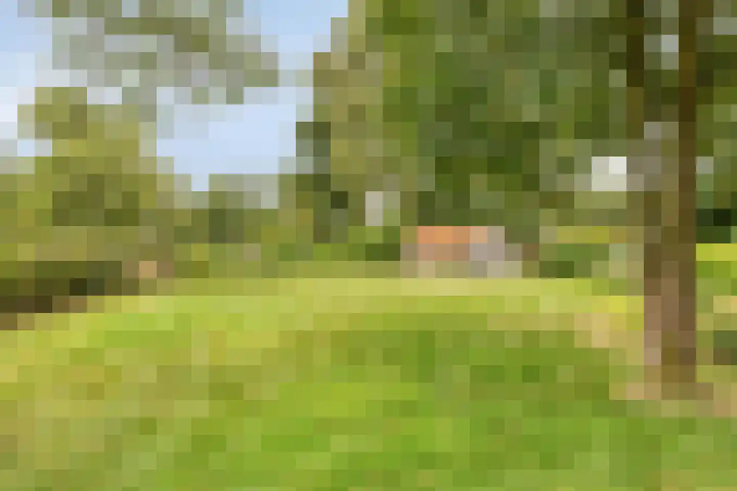 Verlengde Badweg 1 Meeden thumbnail 41