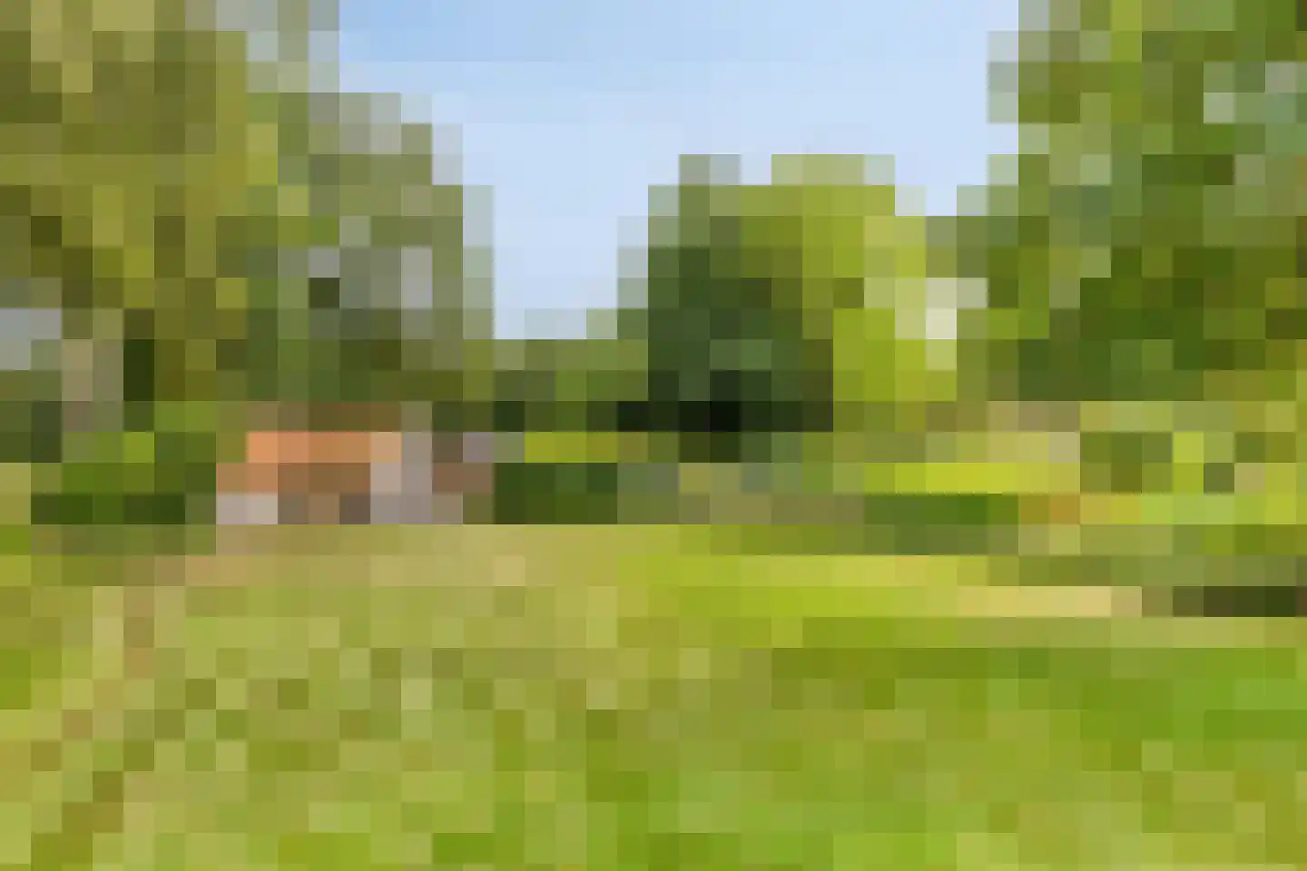 Verlengde Badweg 1 Meeden thumbnail 42