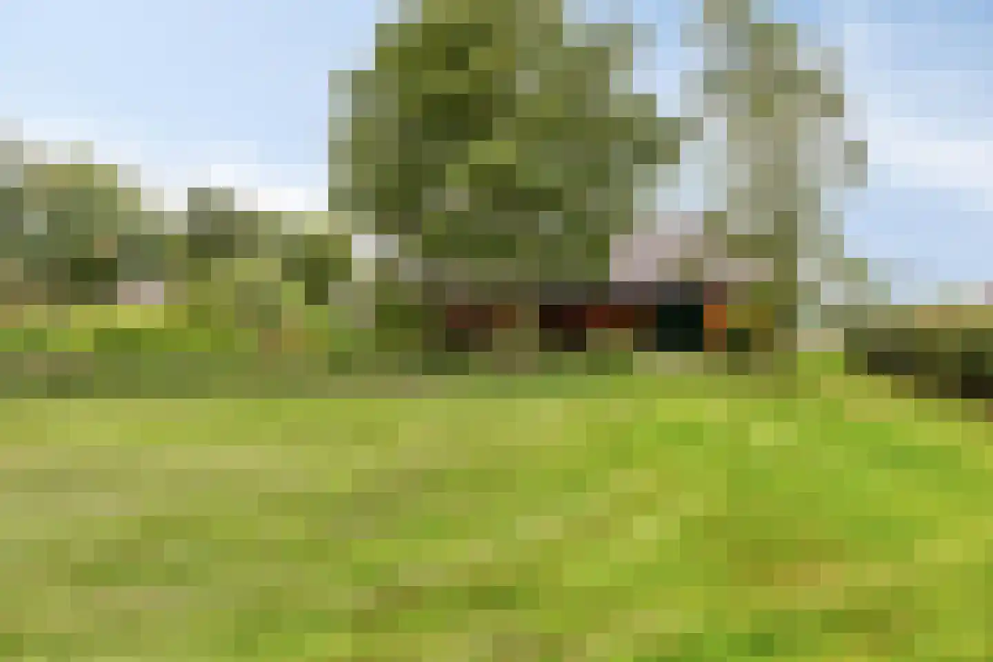 Verlengde Badweg 1 Meeden thumbnail 43