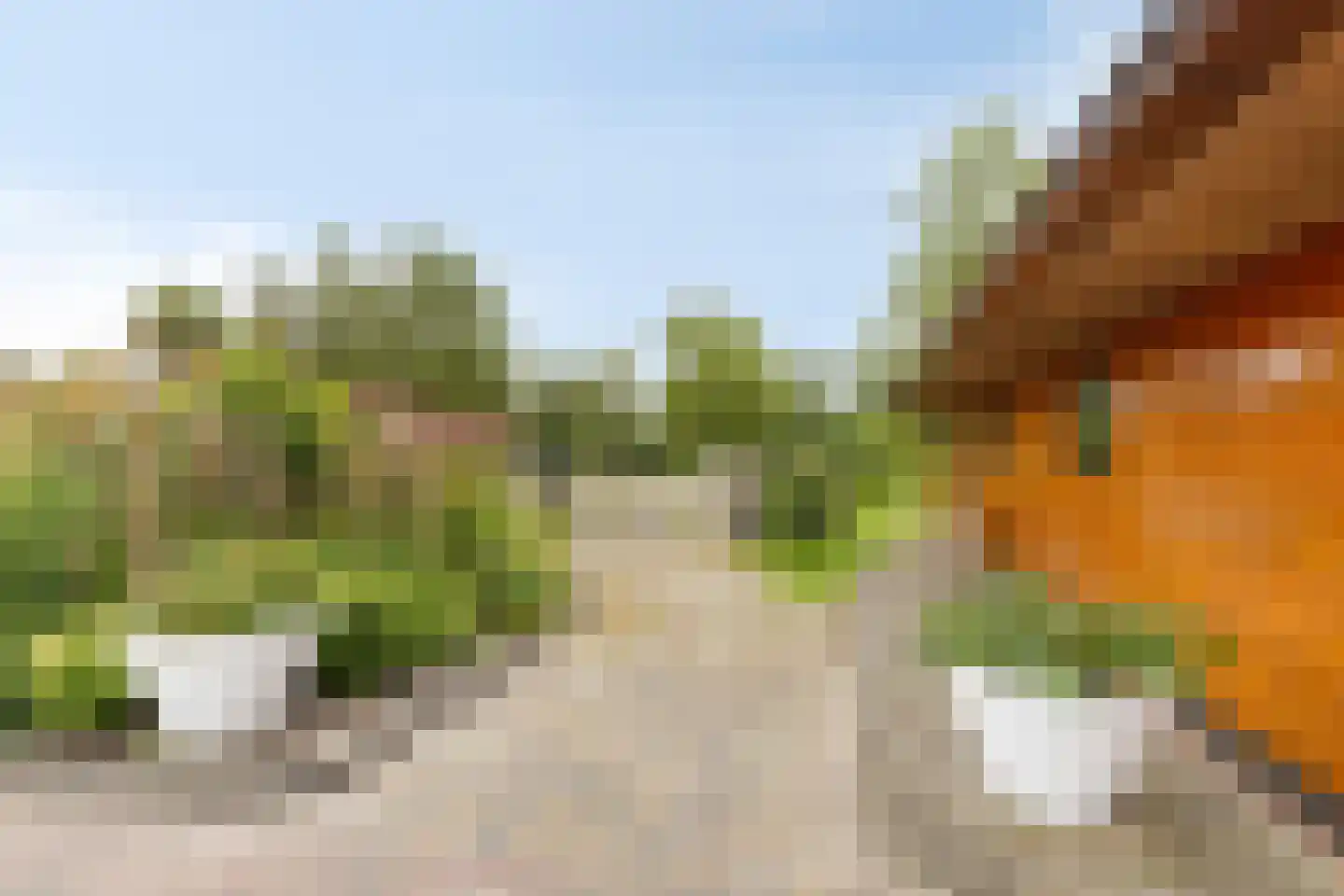 Verlengde Badweg 1 Meeden thumbnail 49