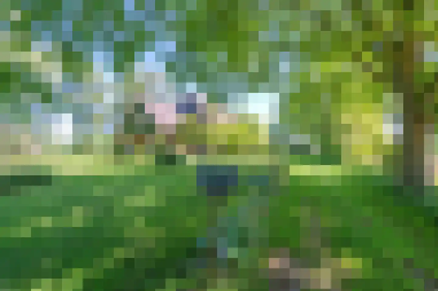 Verlengde Binnenweg 6 Zeijerveld thumbnail 10