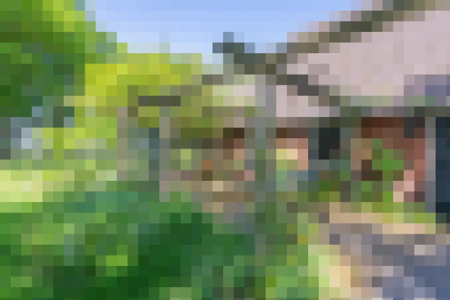 Verlengde Binnenweg 6 Zeijerveld thumbnail 13