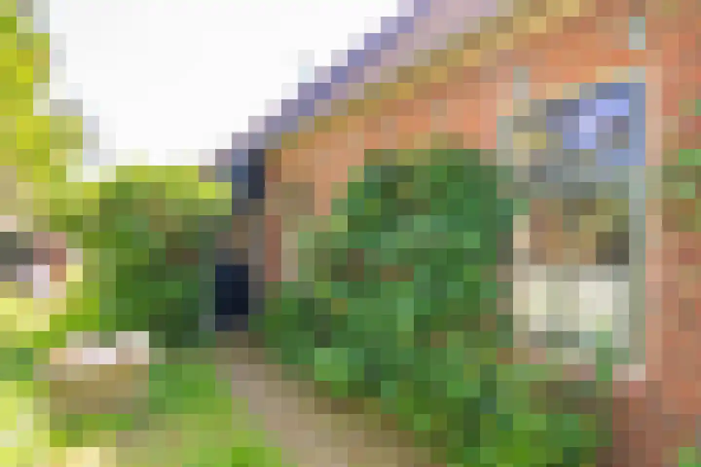 Verlengde Binnenweg 6 Zeijerveld thumbnail 16